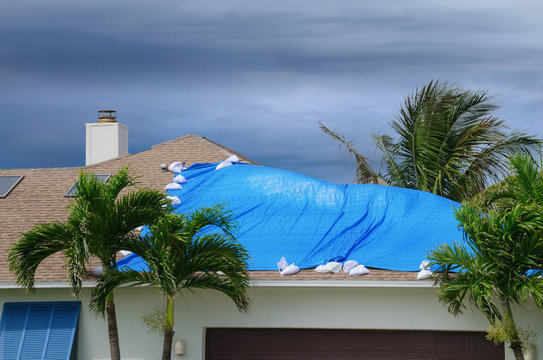 Roof Tarping
